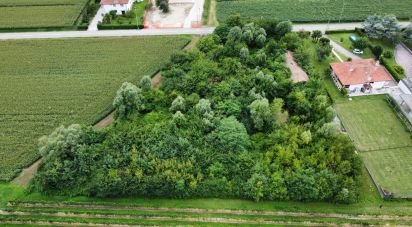 Terreno di 5.460 m² in Pramaggiore (30020)