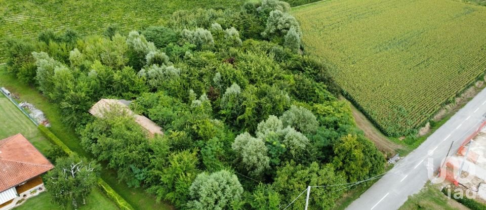 Terreno di 5.460 m² in Pramaggiore (30020)