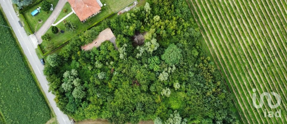 Terreno di 5.460 m² in Pramaggiore (30020)