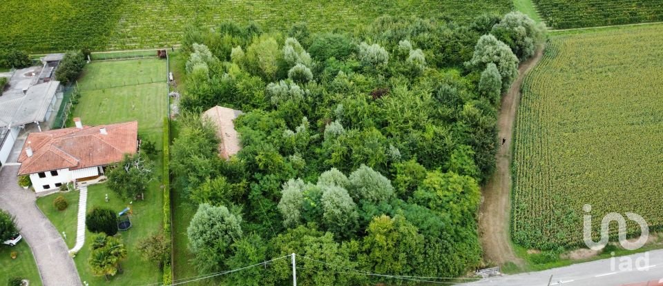 Terreno di 5.460 m² in Pramaggiore (30020)