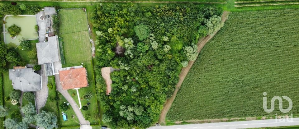Terreno di 5.460 m² in Pramaggiore (30020)
