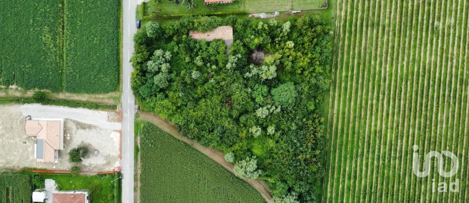 Terreno di 5.460 m² in Pramaggiore (30020)