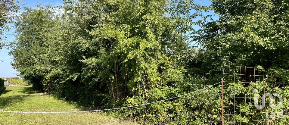 Terreno di 5.460 m² in Pramaggiore (30020)