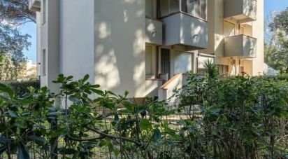Three-room apartment of 64 m² in Pisa (56128)