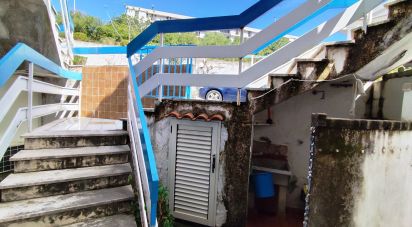 Trilocale di 32 m² a Scalea (87029)