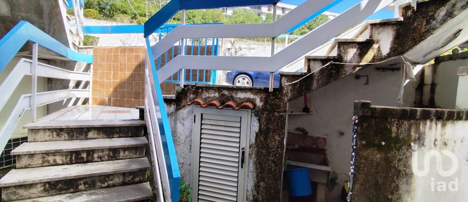 Trilocale di 32 m² a Scalea (87029)