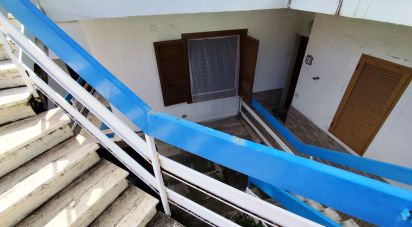 Trilocale di 32 m² a Scalea (87029)