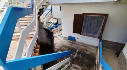 Trilocale di 32 m² a Scalea (87029)