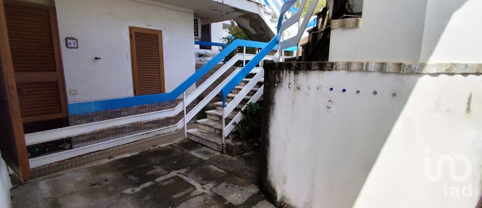 Trilocale di 32 m² a Scalea (87029)