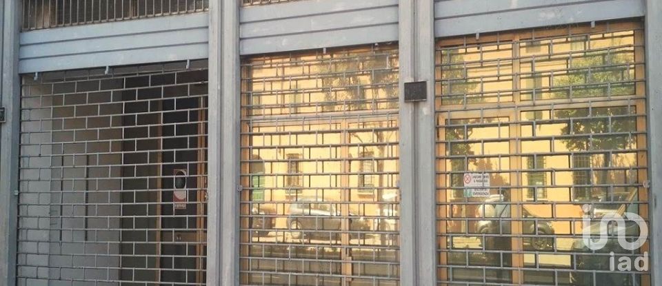 Negozio / locale commerciale di 240 m² in Mantova (46100)