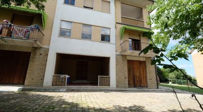 Appartamento 5 locali di 70 m² a Belvedere Ostrense (60030)