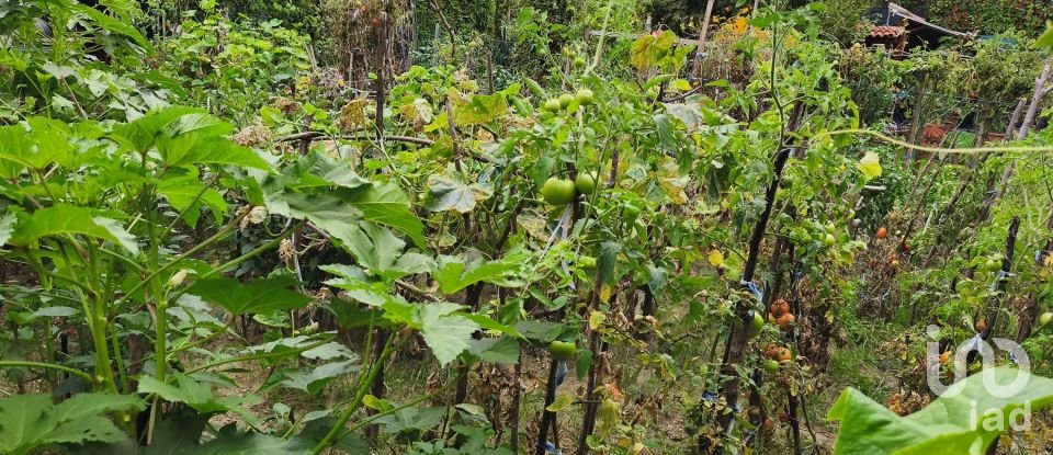 House boat 6 rooms of 195 m² in Torri di Quartesolo (36040)