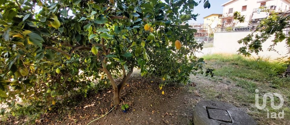 House 9 rooms of 230 m² in Amantea (87032)