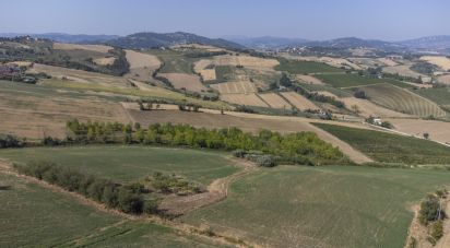 Casa indipendente / Villa 12 locali di 500 m² in San Clemente (47832)