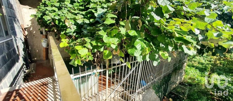 Apartment 7 rooms of 110 m² in Genova (16134)