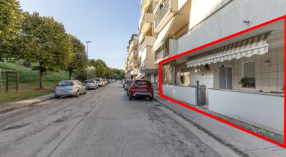 Quadrilocale di 75 m² a Porto Sant'Elpidio (63821)