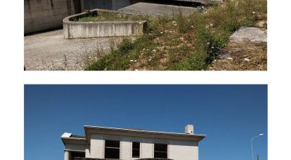 Casa indipendente 0 locali di 2.460 m² in Montegranaro (63812)