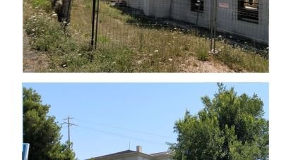 Casa indipendente 0 locali di 2.460 m² in Montegranaro (63812)