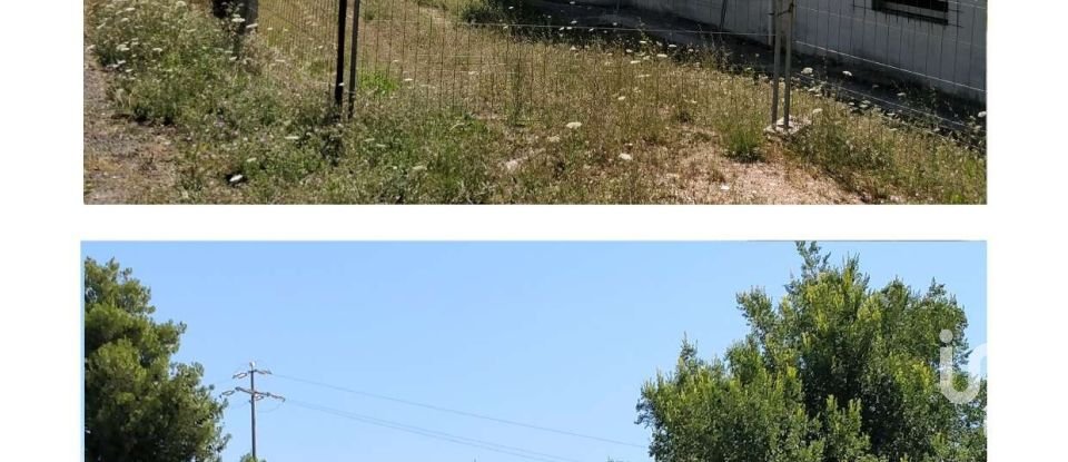 Casa indipendente 0 locali di 2.460 m² in Montegranaro (63812)