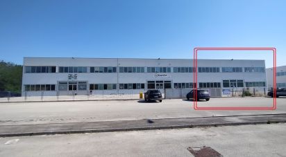 Capannone di 915 m² in Osimo (60027)