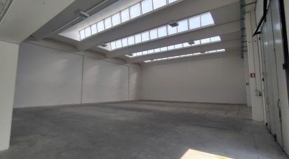 Capannone di 915 m² in Osimo (60027)