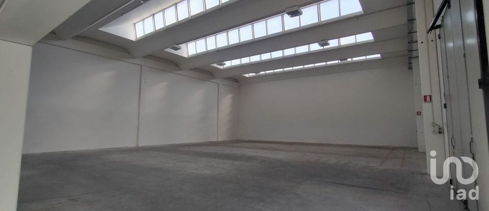 Capannone di 915 m² in Osimo (60027)