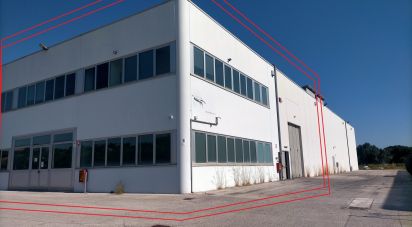 Capannone di 915 m² in Osimo (60027)