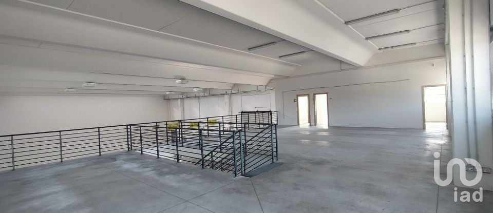 Capannone di 915 m² in Osimo (60027)
