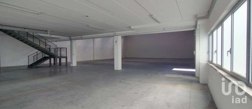 Capannone di 915 m² in Osimo (60027)