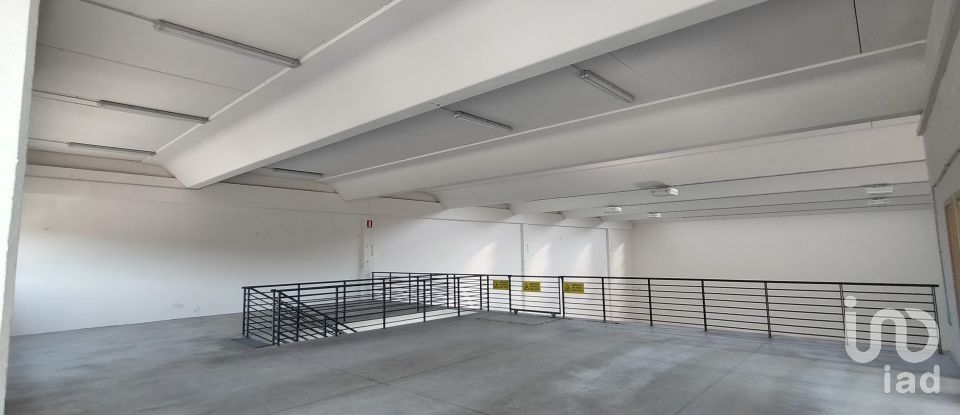 Capannone di 915 m² in Osimo (60027)
