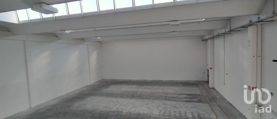 Capannone di 915 m² in Osimo (60027)