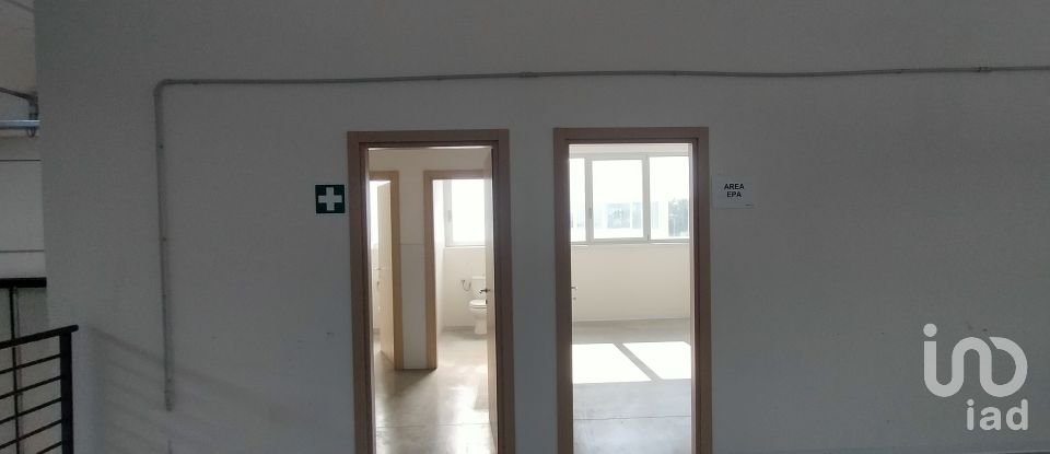 Capannone di 915 m² in Osimo (60027)