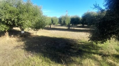 Terreno di 2.147 m² in Castellalto (64020)