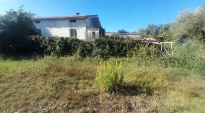 Terreno di 2.147 m² in Castellalto (64020)