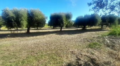 Terreno di 2.147 m² in Castellalto (64020)