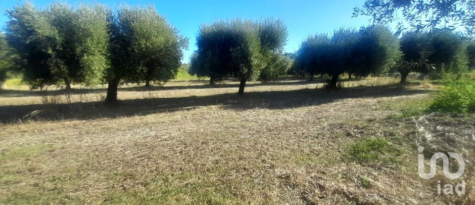 Terreno di 2.147 m² in Castellalto (64020)