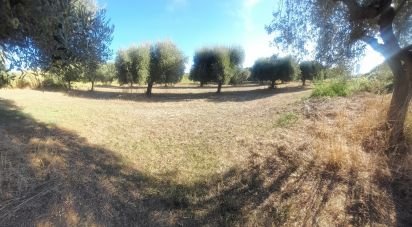 Terreno di 2.147 m² in Castellalto (64020)