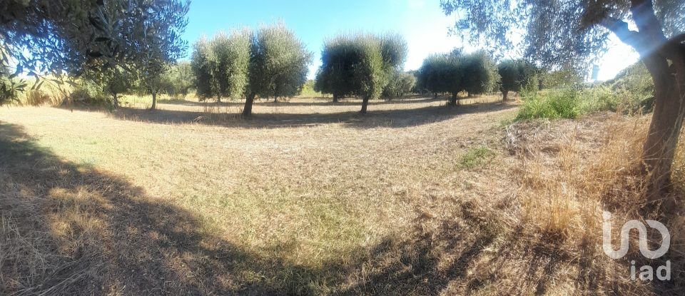 Terreno di 2.147 m² in Castellalto (64020)