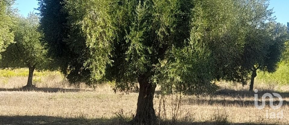 Terreno di 2.147 m² in Castellalto (64020)