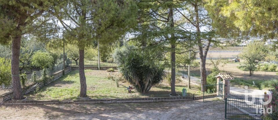 Apartment 8 rooms of 164 m² in Osimo (60027)