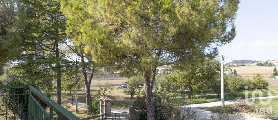 Apartment 8 rooms of 164 m² in Osimo (60027)