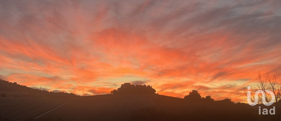 Four-room apartment of 127 m² in Osimo (60027)