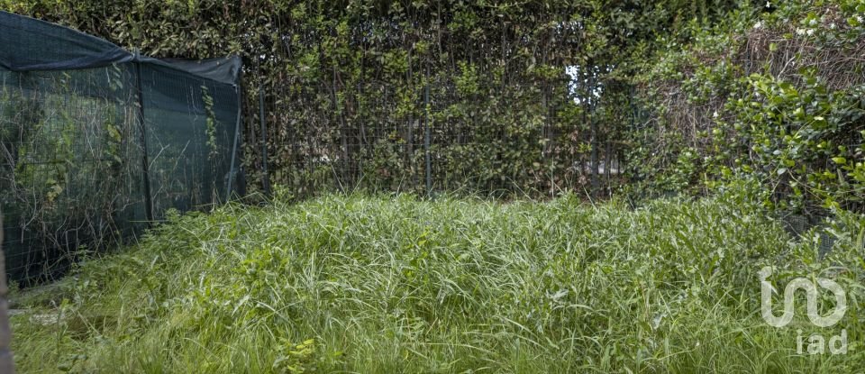 Two-room apartment of 44 m² in Falconara Marittima (60015)