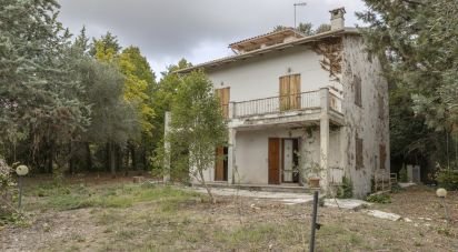 House 9 rooms of 200 m² in Filottrano (60024)