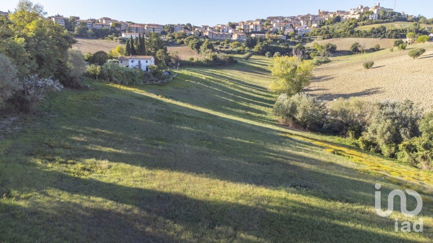 Terreno agricolo di 42.283 m² in Filottrano (60024)