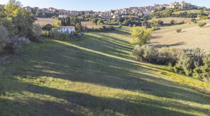 Terreno agricolo di 42.283 m² in Filottrano (60024)