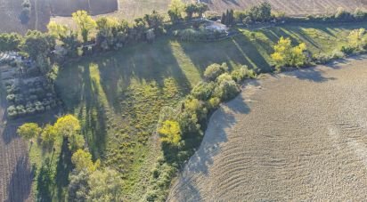 Terreno agricolo di 42.283 m² in Filottrano (60024)