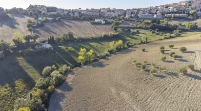 Terreno agricolo di 42.283 m² in Filottrano (60024)