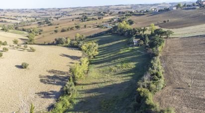 Terreno agricolo di 42.283 m² in Filottrano (60024)