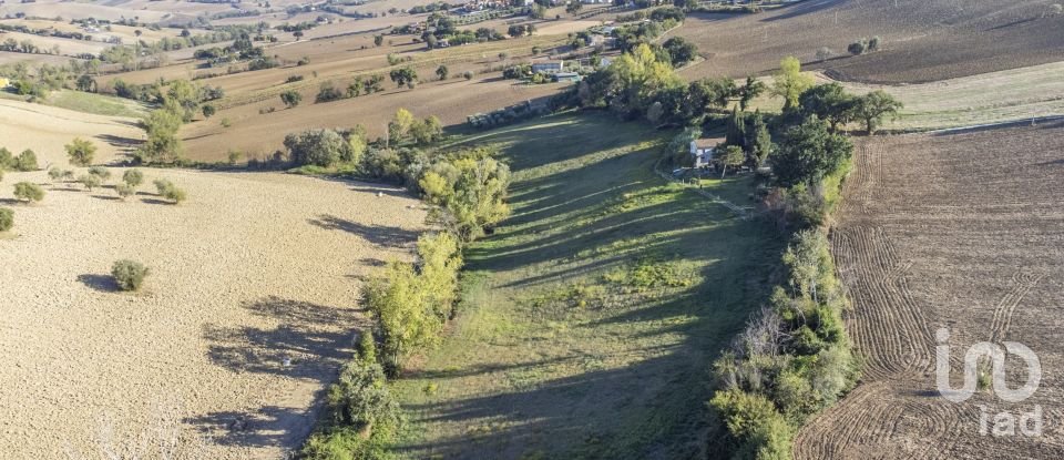 Terreno agricolo di 42.283 m² in Filottrano (60024)